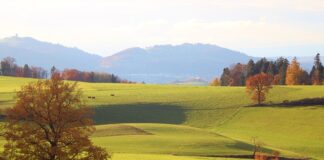 Kto rozlicza się metoda brutto?