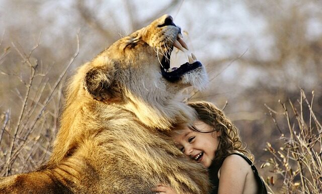 Jaka jest najlepsza wyszukiwarka?