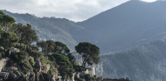 Ile kosztuje rozpiska planu treningowego?